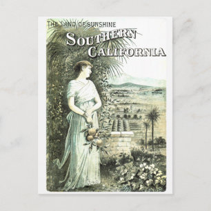 California Land Of Sunshine Vintage Postcard