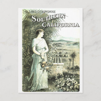 California Land Of Sunshine Vintage Postcard