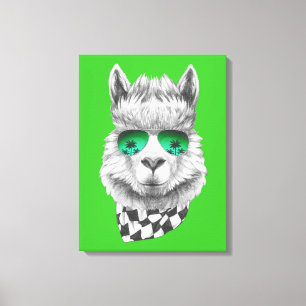 California llama canvas print