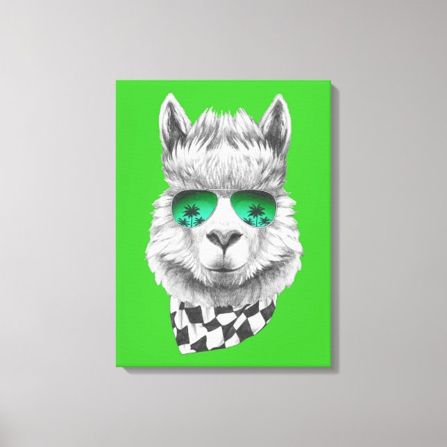 California llama canvas print (Front)