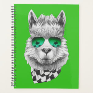 California llama planner