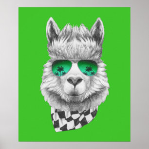 California llama poster