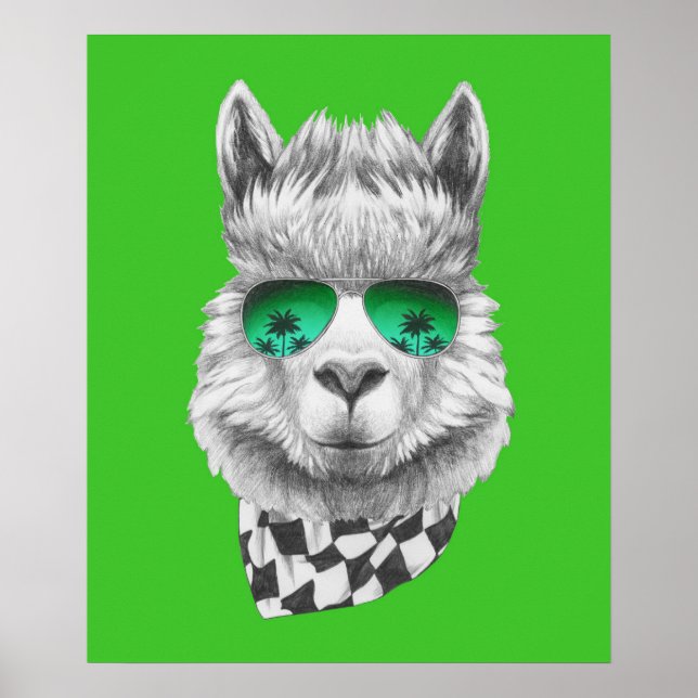 California llama poster (Front)