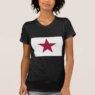 California Lone Star Flag (1836) T-Shirt