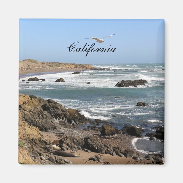 California Magnet (Front)