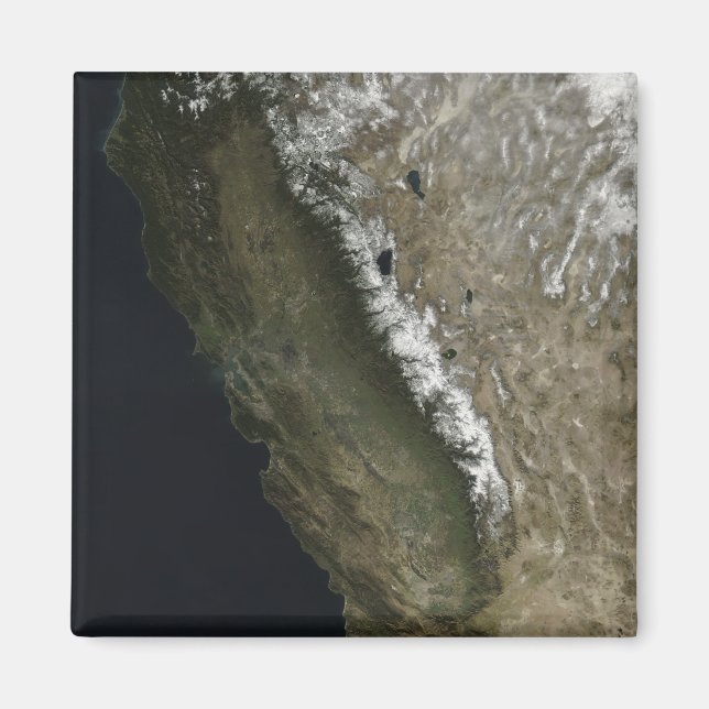 California Magnet (Front)