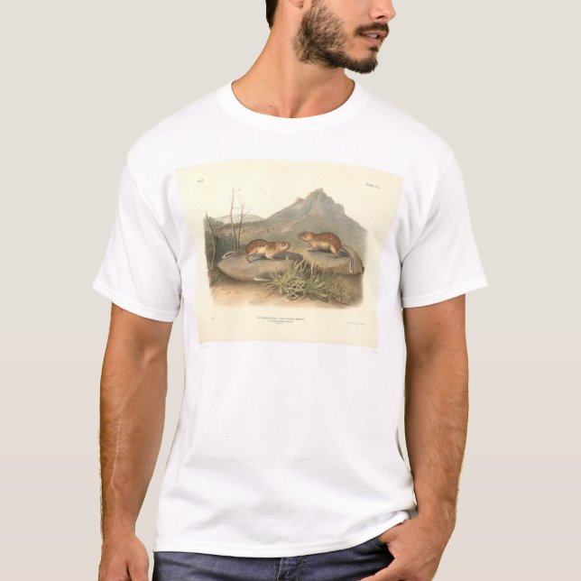 California Marmots by Audubon (0184A) T-Shirt (Front)
