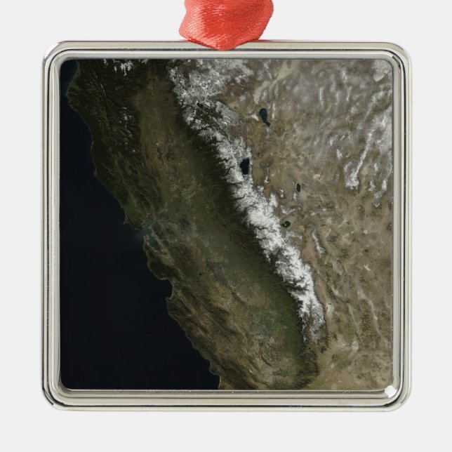 California Metal Tree Decoration (Front)
