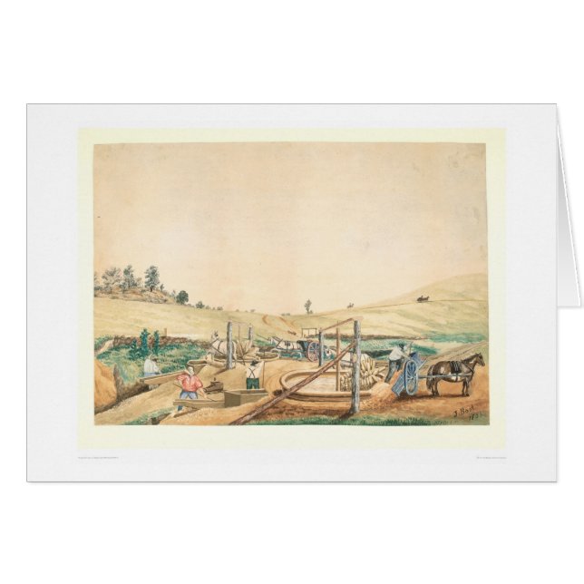 California Miners Working an Arrastra (0111A) (Front Horizontal)