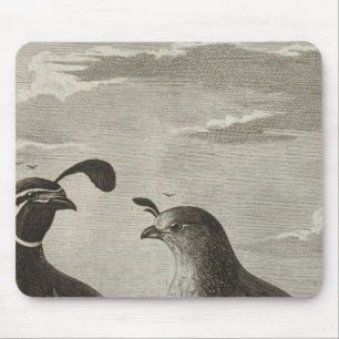 California Mouse Mat