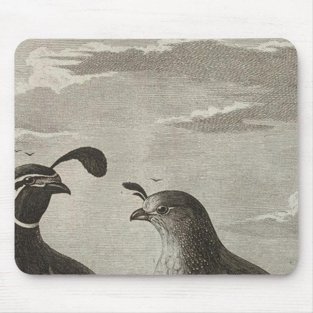 California Mouse Mat (Front)