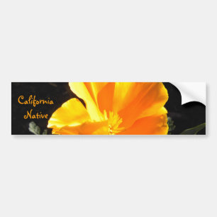 California Native Bumper Sticker
