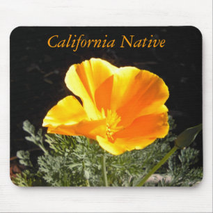 California Native Mouse Mat