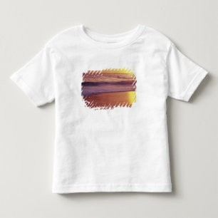 California, near Santa Cruz, View of beach at Toddler T-Shirt