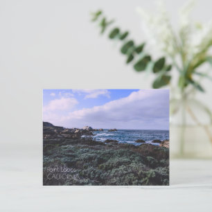 California Pacific Coast Point Lobos Monterey  Postcard
