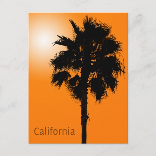 California Palm Postcard (Front)