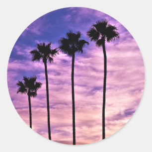 California Palm Tree Sunset Classic Round Sticker