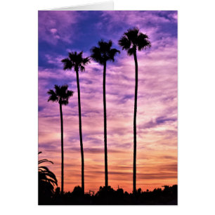 California Palm Tree Sunset Greeting Card
