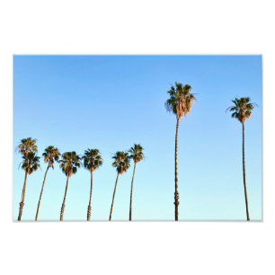 California Palm Trees at Golden Hour Photo Print