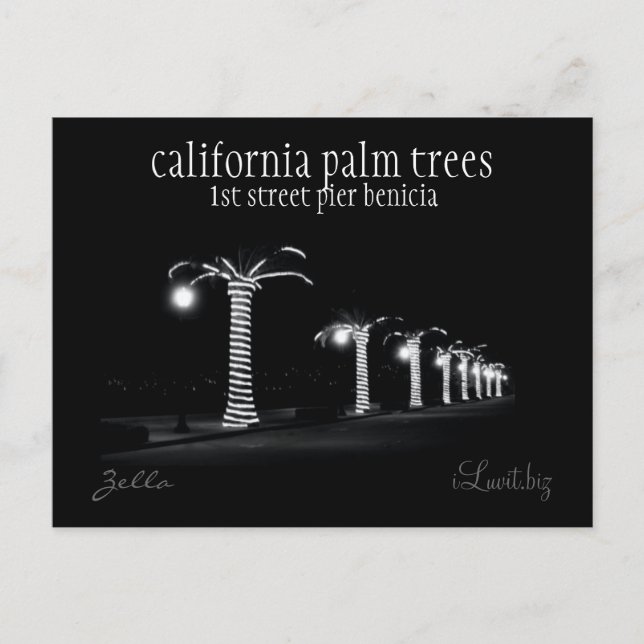 CALIFORNIA PALM TREES by iLuvit.biz - post card (Front)