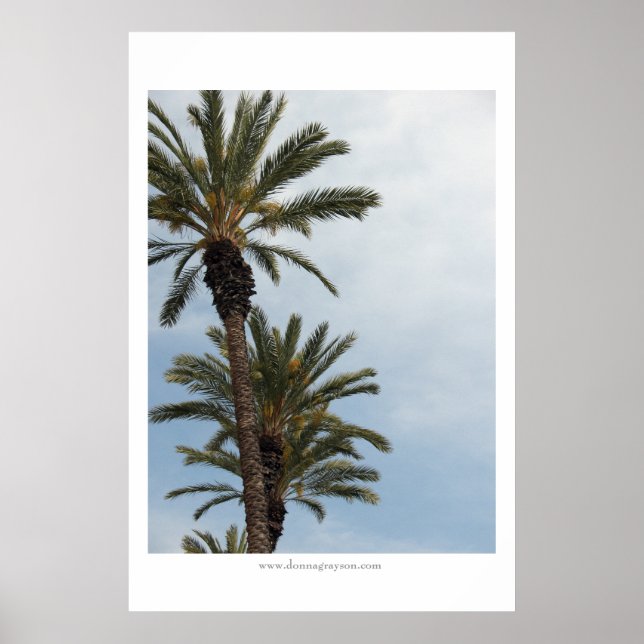 California Palm Trees Poster (Front)