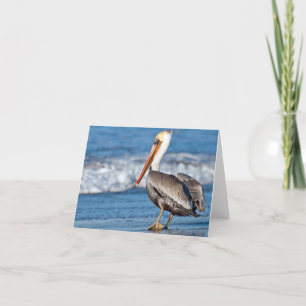 California Pelican on the Beach Card