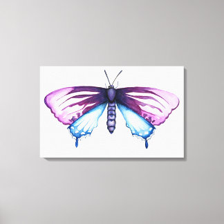 California pipevine swallowtail butterfly canvas print