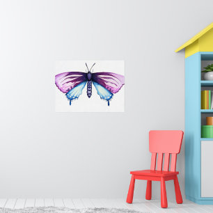 California pipevine swallowtail butterfly poster