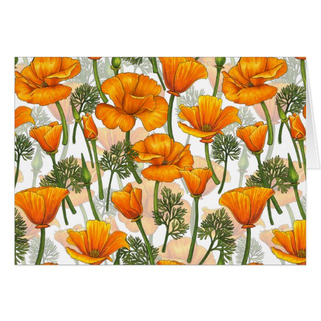 California poppies (Front Horizontal)