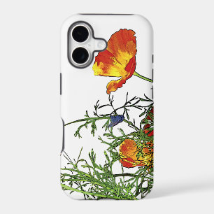 California poppies
