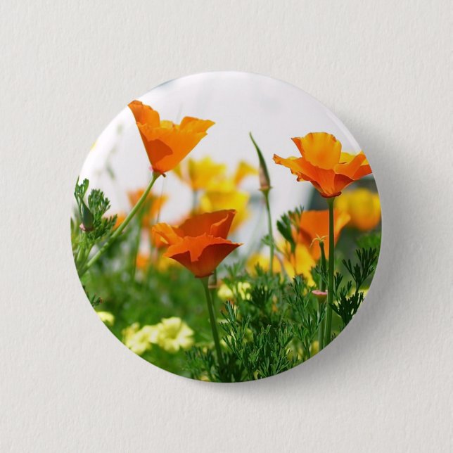 California Poppies 6 Cm Round Badge (Front)