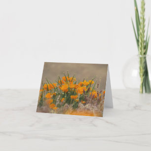 California Poppies Card