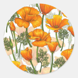 California poppies classic round sticker