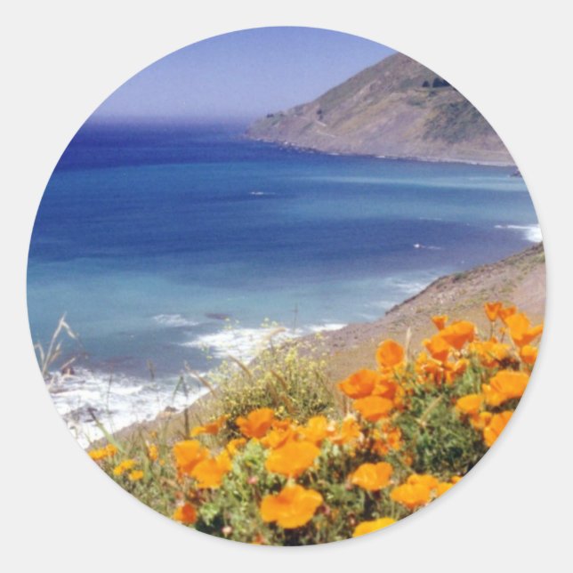 California Poppies Classic Round Sticker (Front)
