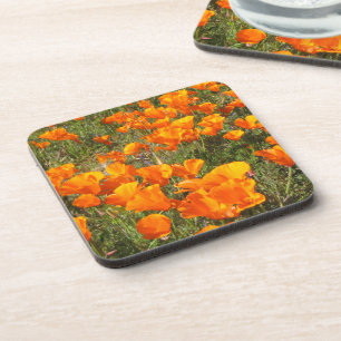 California Poppies Coaster Set