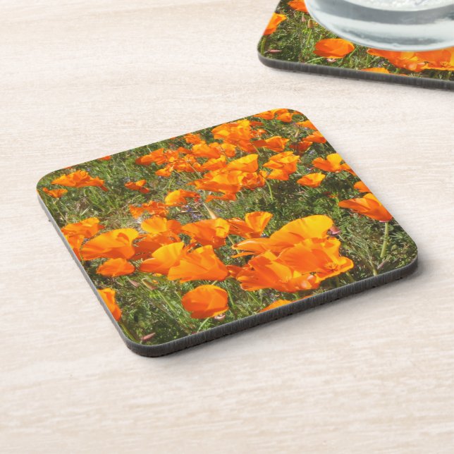 California Poppies Coaster Set (Left Side)