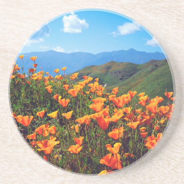 California poppies covering a hillside coaster (Front)