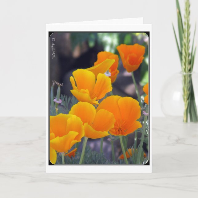 California Poppies Greeting Card (Front)