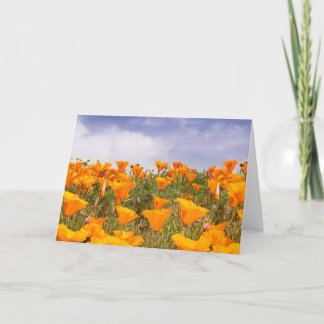 California Poppies Landscape Card