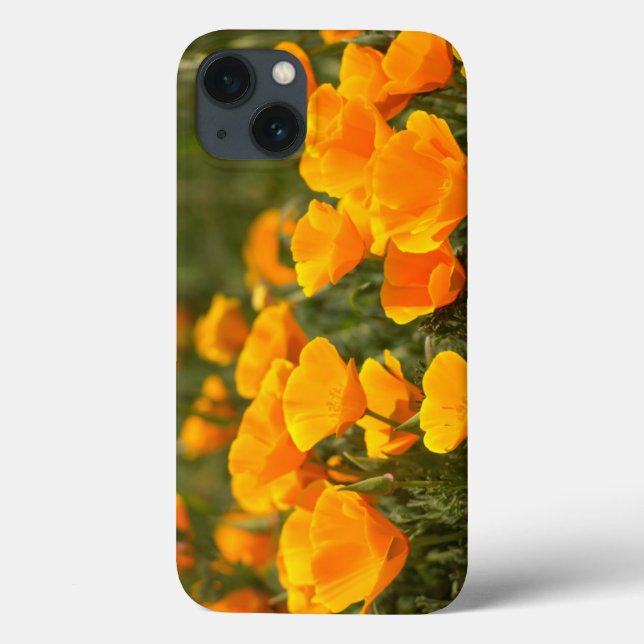 California poppies, Montana de Oro State Park Case-Mate iPhone Case (Back)