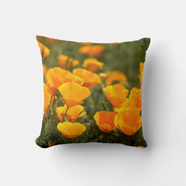 California poppies, Montana de Oro State Park Cushion (Front)
