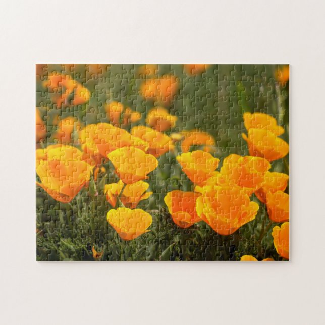 California poppies, Montana de Oro State Park Jigsaw Puzzle (Horizontal)