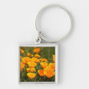 California poppies, Montana de Oro State Park Key Ring