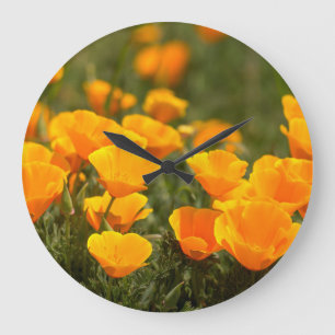 California poppies, Montana de Oro State Park Large Clock