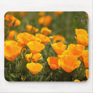 California poppies, Montana de Oro State Park Mouse Mat