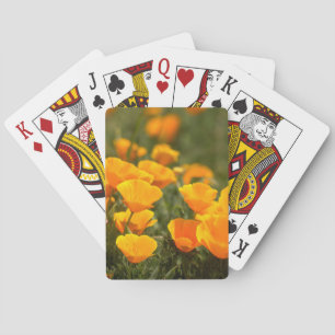 California poppies, Montana de Oro State Park Playing Cards