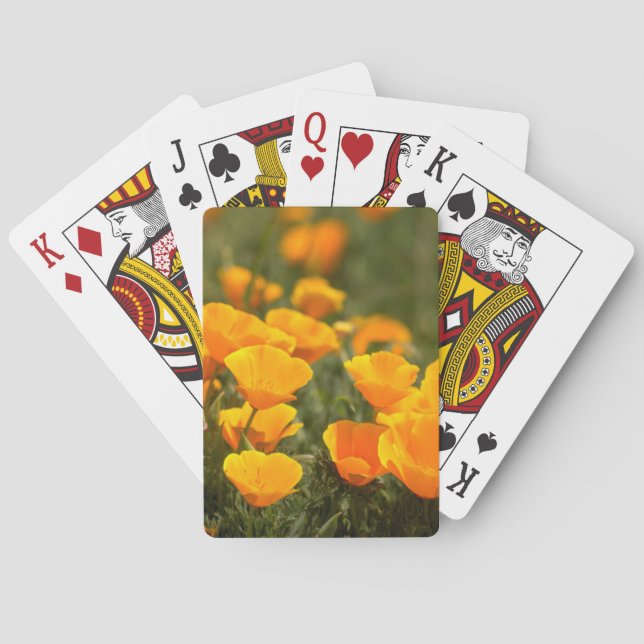 California poppies, Montana de Oro State Park Playing Cards (Back)
