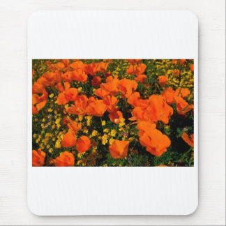 California Poppies Mouse Mat