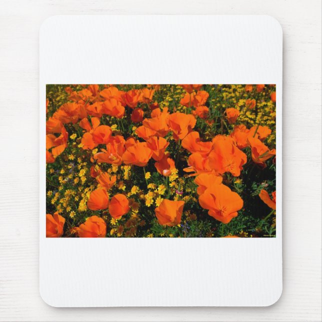California Poppies Mouse Mat (Front)