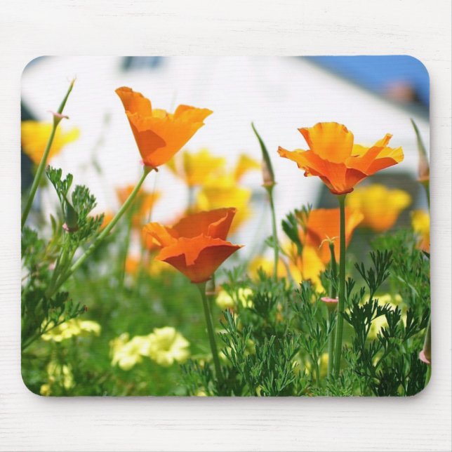 California Poppies Mouse Mat (Front)